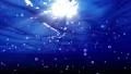 4K Underwater Bubble Big LM13 Loop 60 seconds 4k or 4k+ Resolution