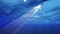 4K Underwater Bubble M LM12 Loop 60 seconds 4k or 4k+ Resolution