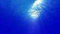 4K Underwater Bubbles 40 seconds LM08 Loop Sunlight 4k or 4k+ Resolution