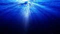 4K Underwater Bubbles 40 seconds LM13 Loop Sunlight 4k or 4k+ Resolution