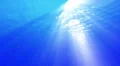 4K Underwater Bubbles 40 seconds LM01 Loop Sunlight 4k or 4k+ Resolution