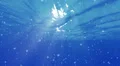 4K Underwater Bubbles Big 40 seconds LM17 Loop Sunlight 4k or 4k+ Resolution