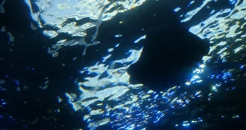 4K Underwater looking up - Sting Ray swims by Stock Footage 99067276