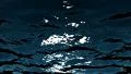 4K Underwater Loop LM03 Sunlight 4k or 4k+ Resolution