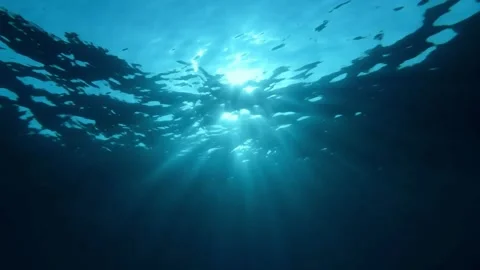 4K Underwater Upward Angle Of Sunbeams Filtering Through Surface Waves Stock-Footage 334460274