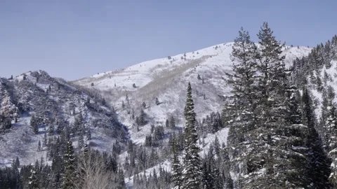 4K Utah Mountain Range Snow Capped Peaks And Evergreen Forest Vídeo Stock 334461957