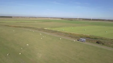 4K Van drives through danish landscape with sheep Vídeo Stock 249019185