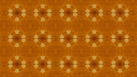 4k vegetable moving kaleidoscope pattern, made of genuine footage of an orang Stock Footage 71781229
