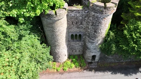 4K Vertical Aerial View of Stone Ruin at Heywood Gardens Ireland 库存影片 332803656