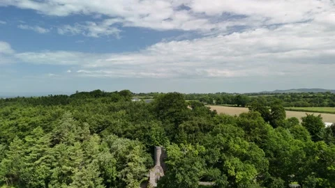 4K Vertical Aerial View of Stone Ruin at Heywood Gardens Ireland 스톡 동영상 332803673