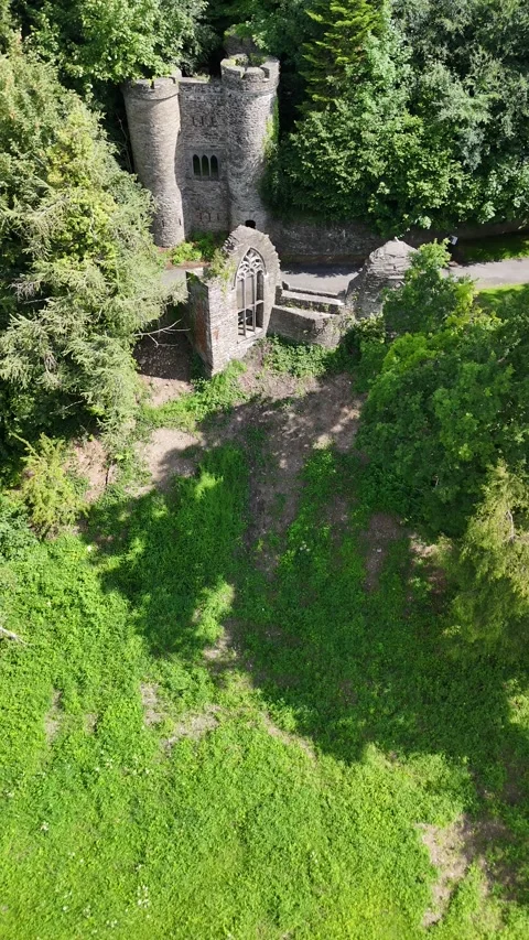 4K Vertical Aerial View of Stone Ruin at Heywood Gardens Ireland 스톡 동영상 332803833