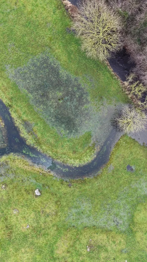 4K Vertical Aerial View of Winding Stream Through Green Field 스톡 동영상 332803230