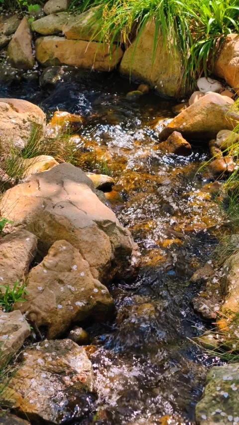 4K vertical cinematic B-roll footage: sunlit crystal rocky stream flow. Stock Footage 307431986