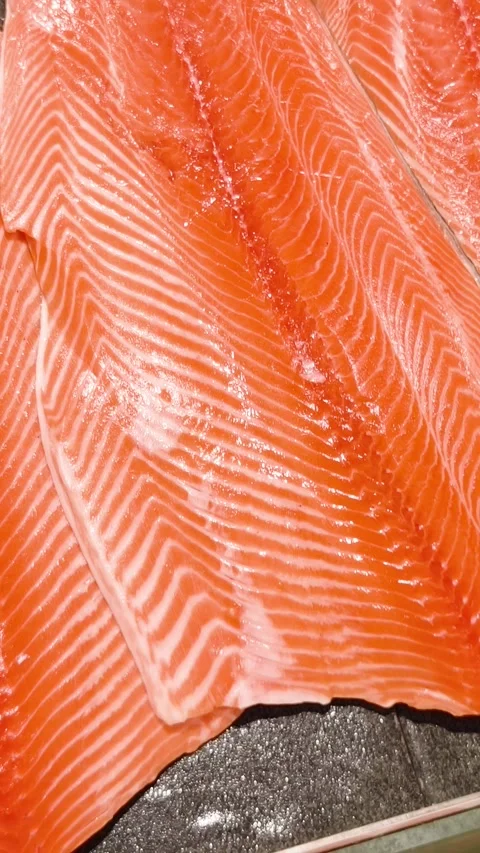 4K Vertical close-up shot of fresh raw salmon fillet texture Stock Footage 336199355
