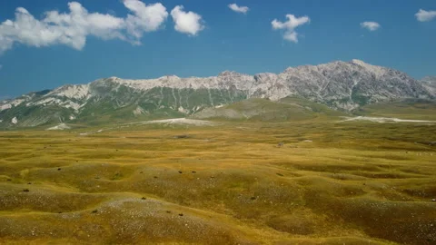 4K vertical drone ascent from yellow grassy plain to mountain range Stock Footage 315195518