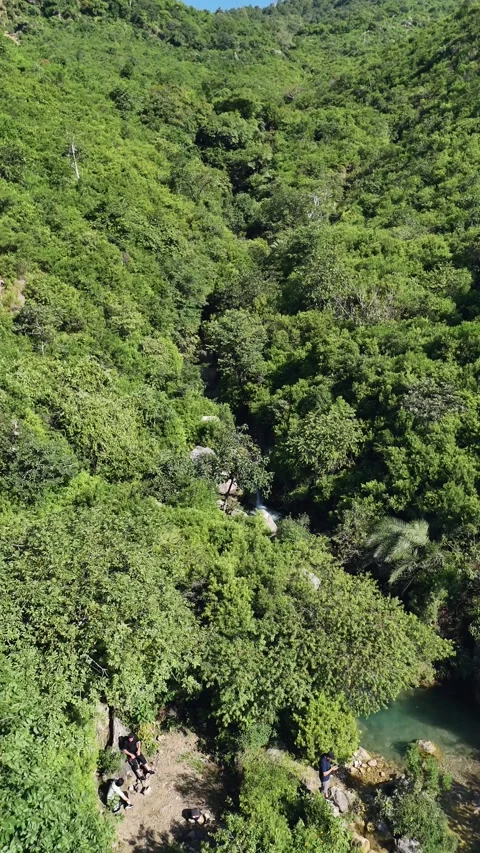 4k vertical drone shot dense forest in moutain Video stock 288810822
