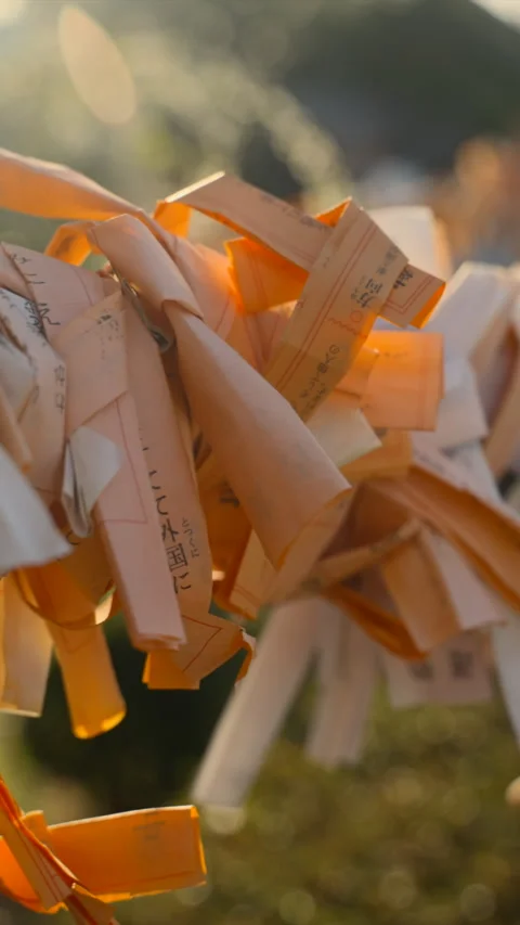 4k, vertical footage of prayer papers in sun light Video stock 268140644