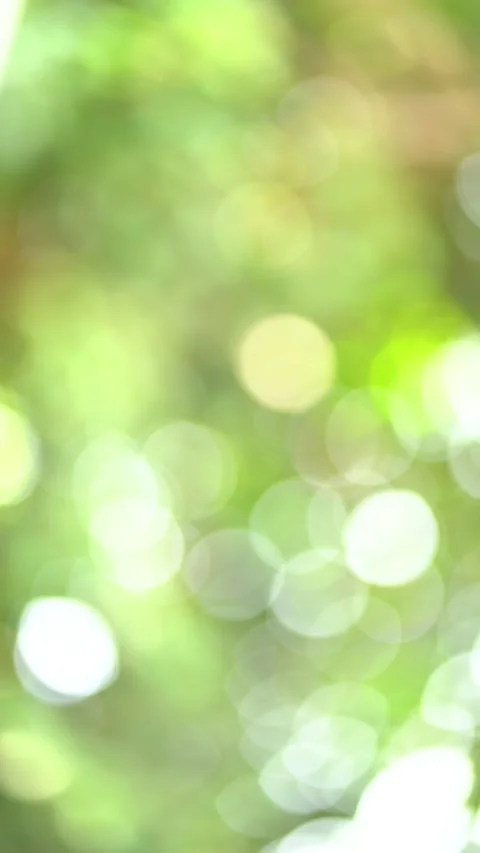 4k Vertical motion of bokeh blurred green nature background with natural light 库存影片 153477882