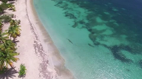 4K Vertical Pan Beach Stock Footage 63473071