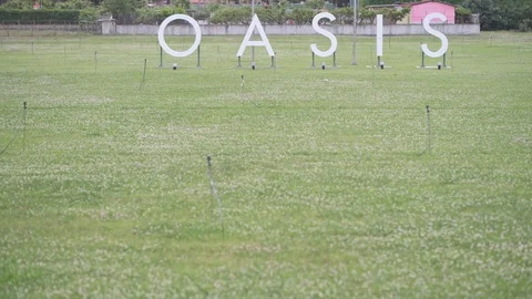 "4K vertical pan of a giant OASIS sign over a green meadow" Video stock 90894536