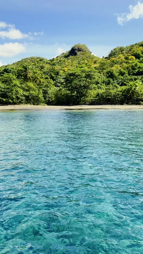 4K vertical pan of a lush tropical paradise bay beach with crystalline Видео 333201770
