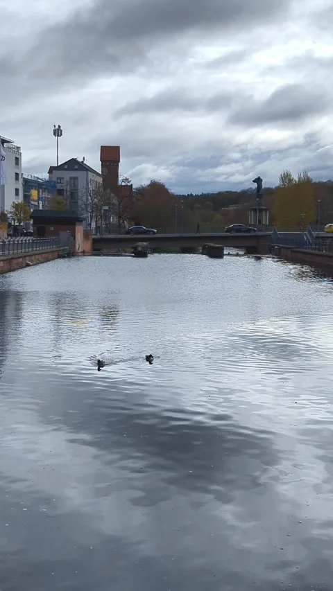 4K Vertical River View: Ducks Swimming, City Bridge with Traffic, Water Ripples Stock Footage 332134562