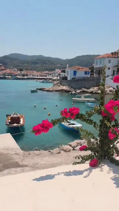 ​4K Vertical Samos Greece Turquoise Bay Fishing Boats and Pink Flowers 2026 Stock Footage 328412014