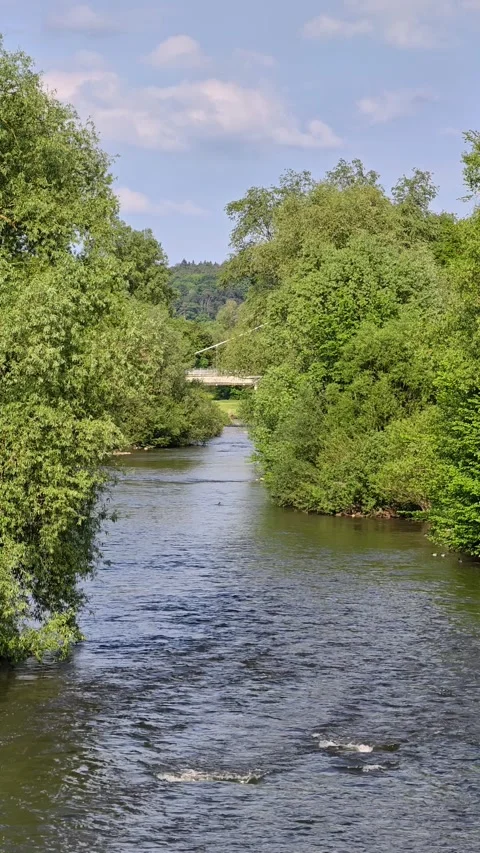 4K Vertical Slow Motion: Calm River Flowing Between Green Trees, Scenic View Stock-Footage 334626852