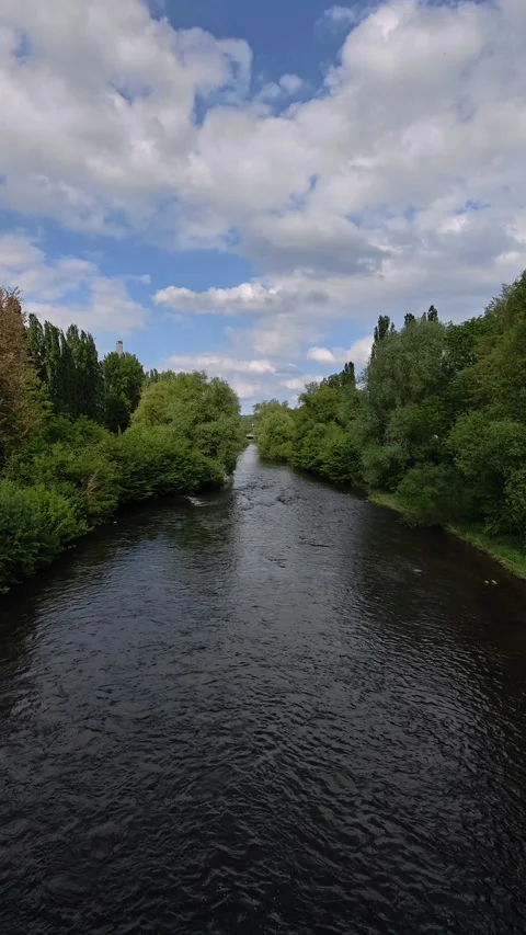 4K Vertical Slow Motion: Calm River Flowing Between Green Trees, Scenic View Stock-Footage 334626909
