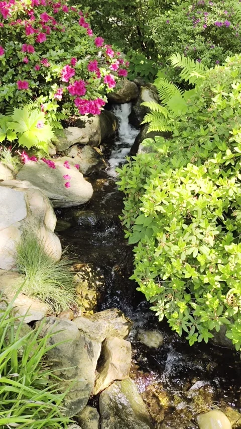 4K vertical Slow Motion Garden Stream Footage Dolby Vision Stock-Footage 335206360