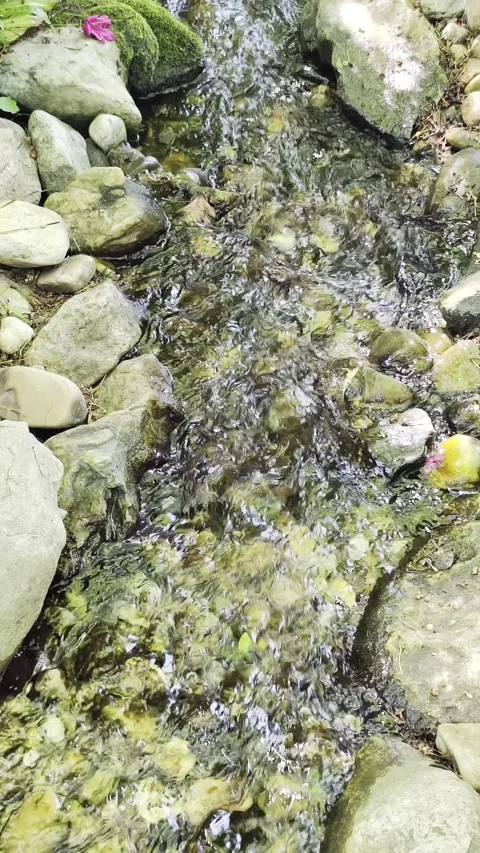 4K Vertical Slow Motion Japanese Garden Stream Footage Video stock 335206201