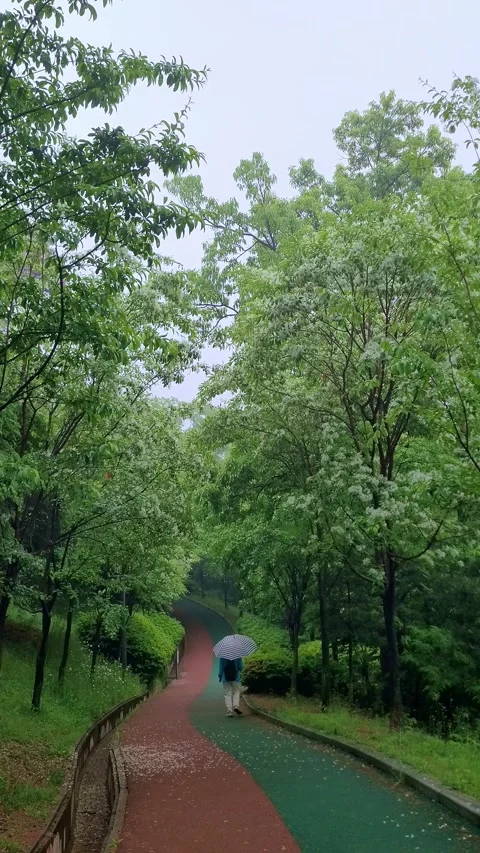 4K Vertical SlowMo Crabapple Rain Video stock 330384099