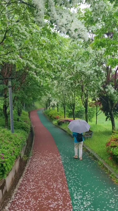4K Vertical SlowMo May Park Rain Stock Footage 330384362