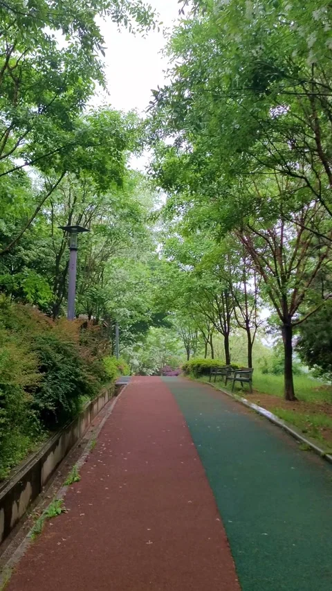 4K Vertical SlowMo Park Bench Rain Video stock 330384223