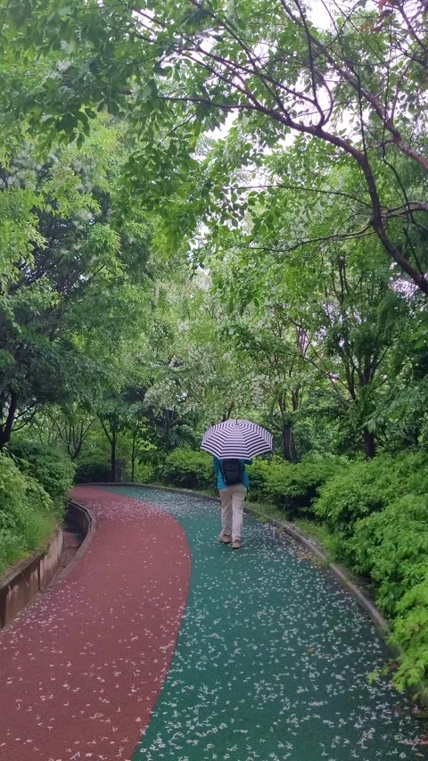 4K Vertical SlowMo Rainy Park Spring Stock Footage 330384179