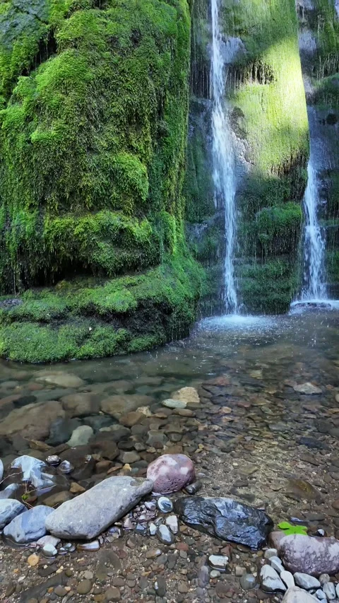 4K vertical smooth stabilized footage of beautiful Spirit Falls in Oregon, USA Stock Footage 344384699