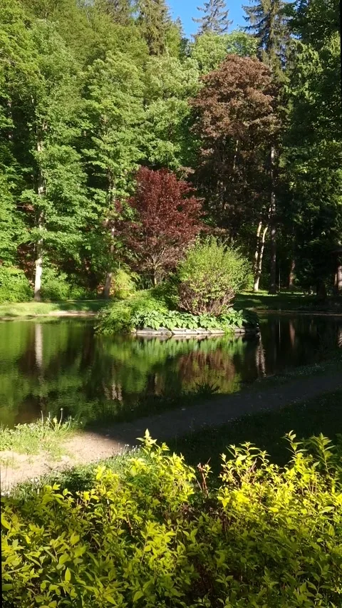 4k vertical static shot of a scenic park pond surrounded by lush green and re Stock Footage 346294641