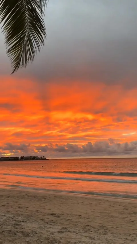 4K Vertical Tropical Beach Sunset with Palm Trees at Luxury Resort Video stock 330378533