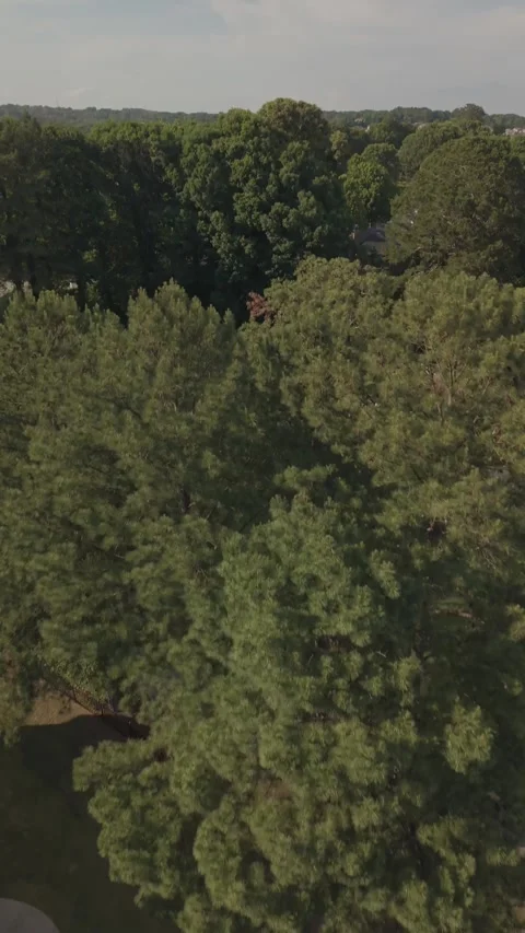 4k vertical video of Flight Over High-End Residential Subdivision Layout Stock Footage 335490614