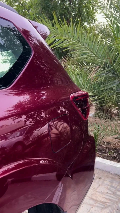 4K Vertical Video of Red Car in Natural Setting. Stock-Footage 303009348