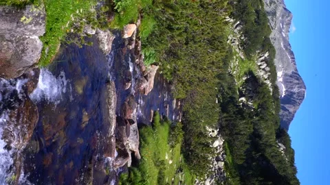 4K Vertical video river in the mountains  Stock Footage 210386061