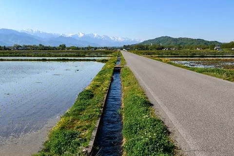 4K Vertical View of Snow-Capped Northern Alps and Rice Fields in Azumino, Japan Stock Photos