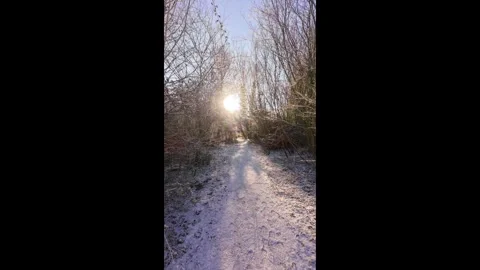 4K Vertical | Walk through Sheep's Green during winter Stock Footage 328746164