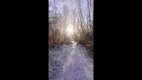 4K Vertical | Walk through Sheep's Green during winter Stock Footage 328746381