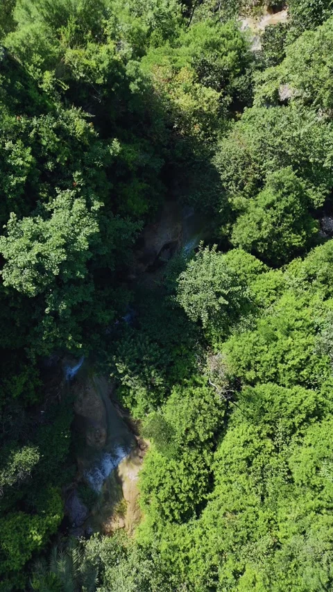 4k Vertical water stream in lush green mountain Stock Footage 288810548