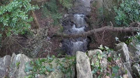 4K very small stream filmed from stone bridge, a log going over the stream Stock Footage 45756785