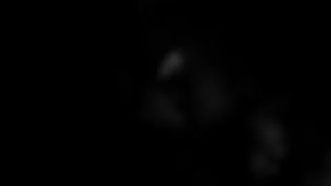 4K VFX Element practical atmospheric smoke Stock Footage 305694703