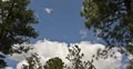 4K Video 30p - Forest and puffy clouds in time lapse V1 4k or 4k+ Resolution