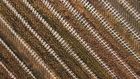 4k video aerial drone footage of solar pannels in a field in Italy Stock Footage 210205553