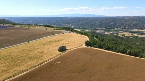 4k video aerial lavender corn and ruin in valensole in provence Stock Footage 161990966